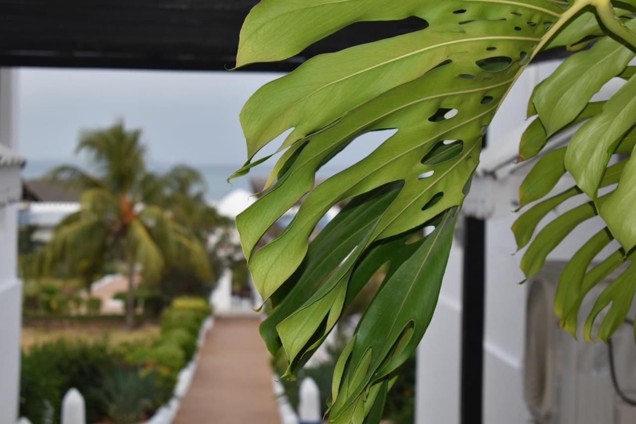 Kendwa Beach Resort المظهر الخارجي الصورة