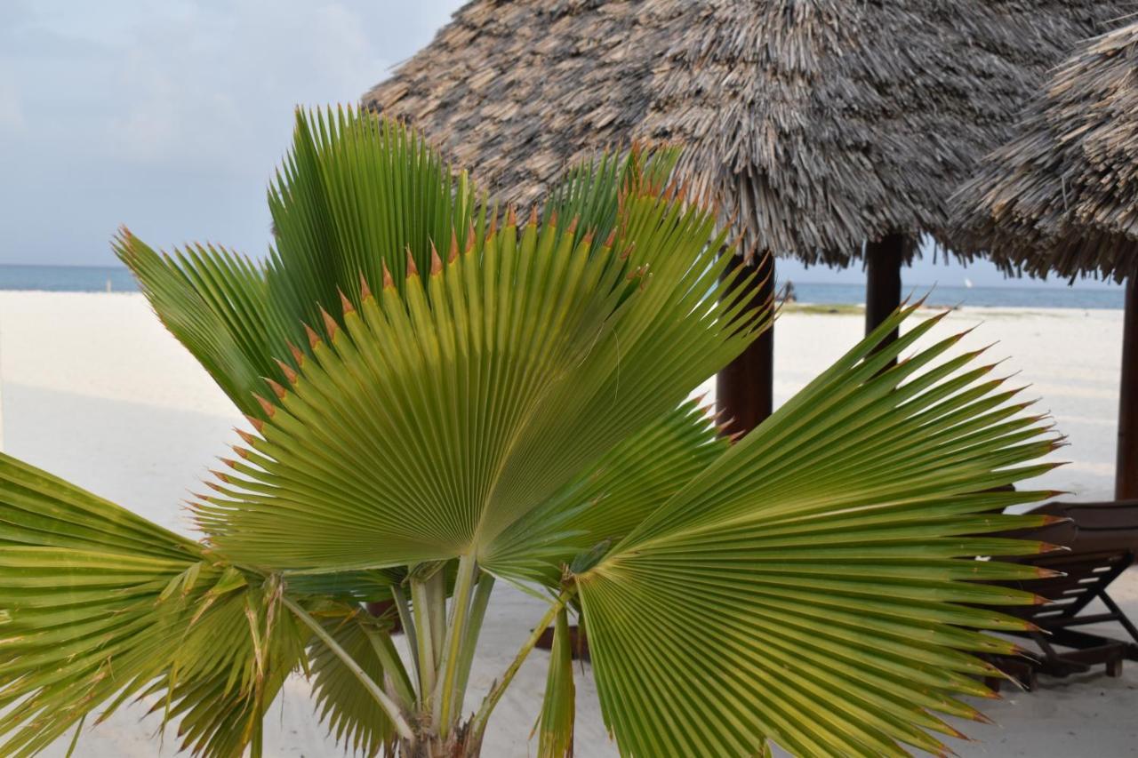 Kendwa Beach Resort المظهر الخارجي الصورة