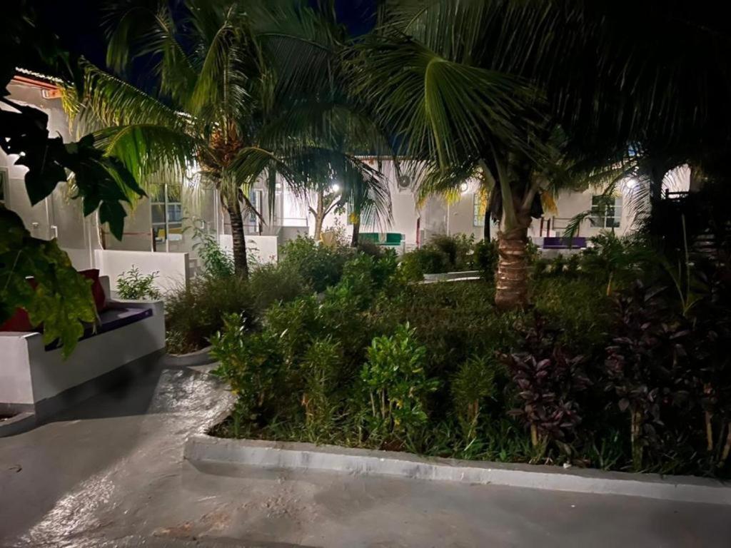 Kendwa Beach Resort المظهر الخارجي الصورة