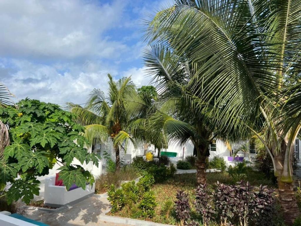 Kendwa Beach Resort المظهر الخارجي الصورة